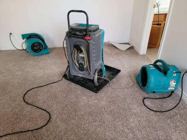 Best Mold removal after water damage  in Kinsley, KS