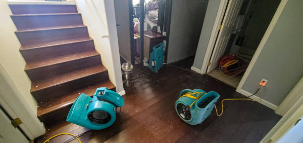 Best Professional water damage repair  in Kinsley, KS