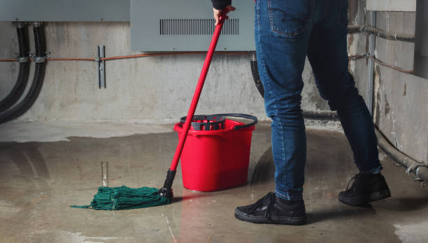 Best Sewage cleanup and water damage restoration  in Kinsley, KS