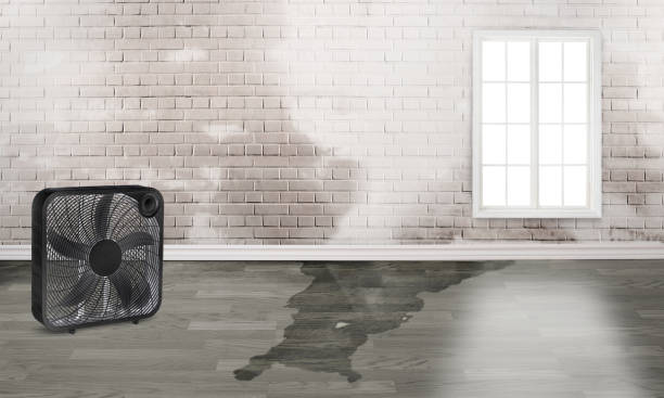 Best Fire Damage Restoration  in Kinsley, KS