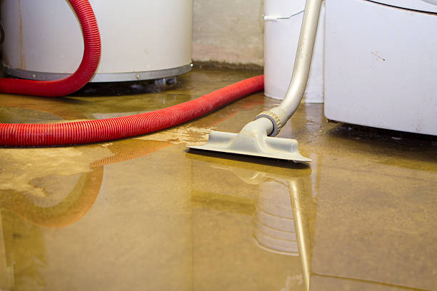 Best Local water damage restoration  in Kinsley, KS