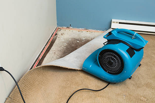 Best Water damage restoration near me  in Kinsley, KS